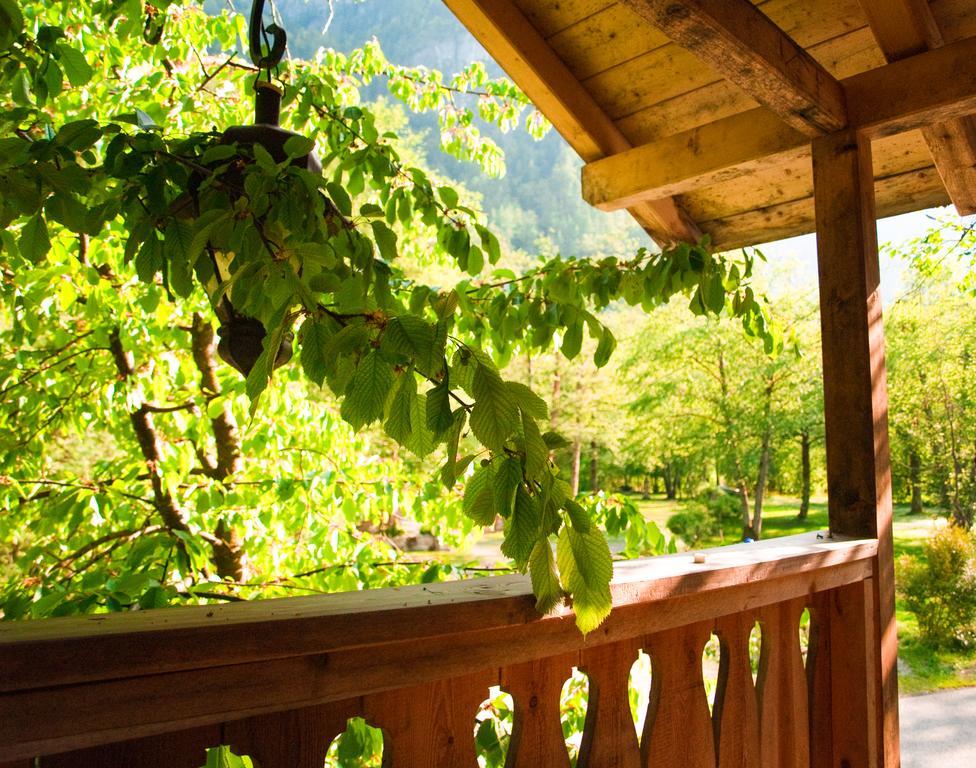 Park Am See Obertraun Rom bilde
