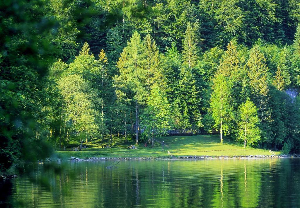 Park Am See Obertraun Eksteriør bilde