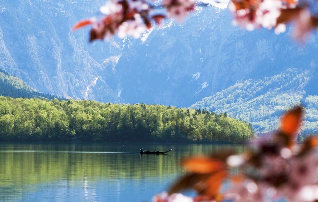 Park Am See Obertraun Eksteriør bilde